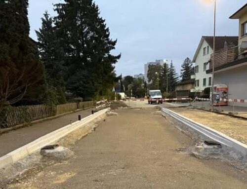 Neugestaltung Alexander-Moser-Strasse, Biel.